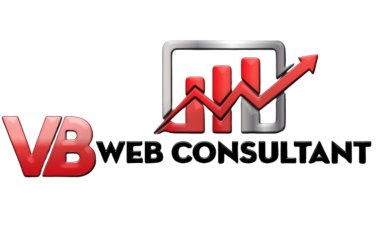 Experienced VB Web Consultant, Vinaykumar Raval, Helps Businesses Thrive Online